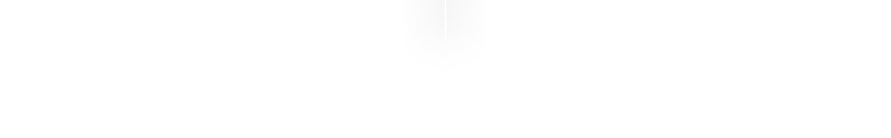 ソムタムローンプレーンのこだわり