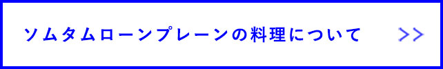 ソムタムローンプレーンの料理について