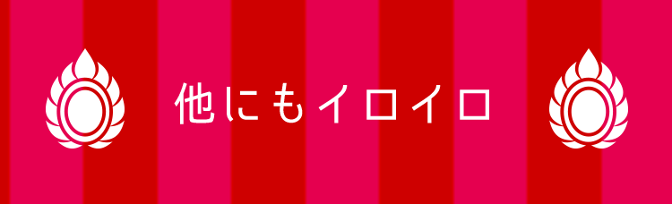 他にもイロイロ