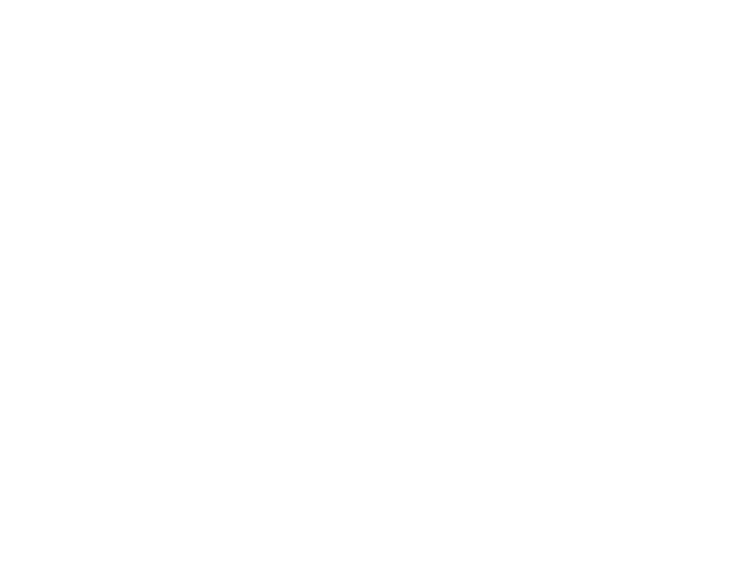 04 / 乾燥唐辛子