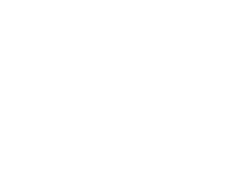 ソムタムローンプレーンのこだわり